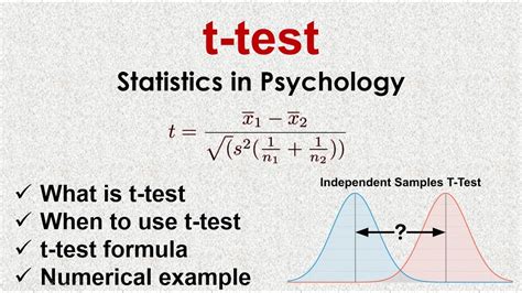 t test quantitative|statistical t test meaning.